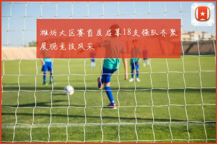 潍坊大区赛首度启幕18支强队齐聚展现竞技风采