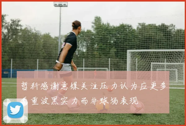 哲科感谢意媒关注压力认为应更多看重波黑实力而非球场表现