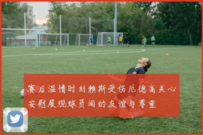 赛后温情时刻赖斯受伤厄德高关心安慰展现球员间的友谊与尊重