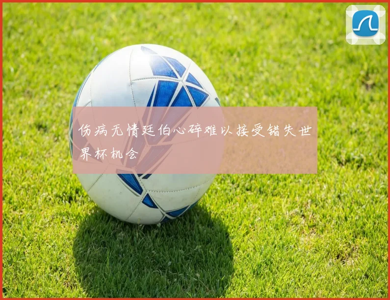 伤病无情廷伯心碎难以接受错失世界杯机会