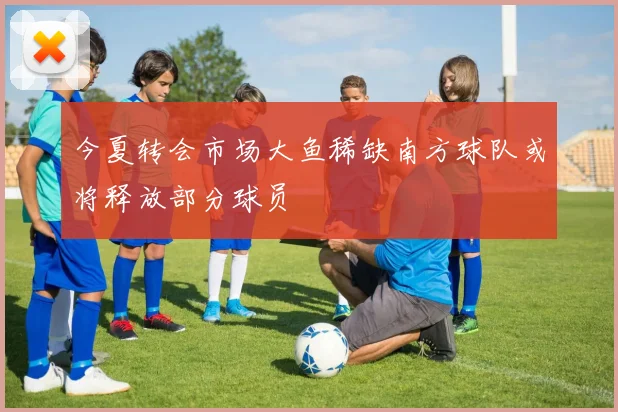 今夏转会市场大鱼稀缺南方球队或将释放部分球员