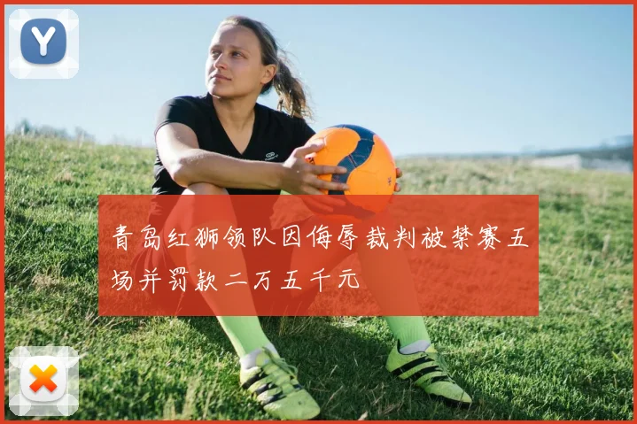 青岛红狮领队因侮辱裁判被禁赛五场并罚款二万五千元