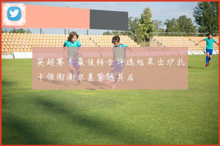 英超赛季最佳转会评选结果出炉扎卡领衔谢尔基紧随其后